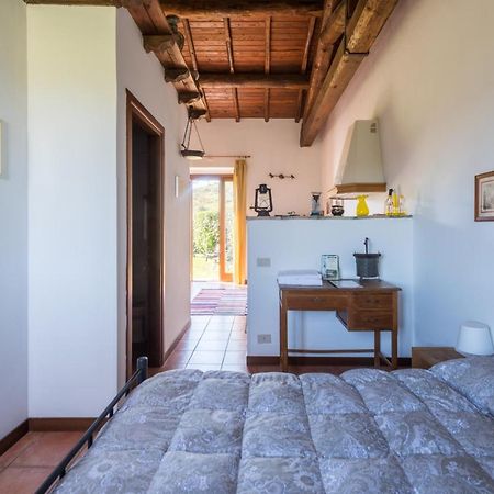 Villa Il Castoro Di Martignano Anguillara Sabazia Exterior foto