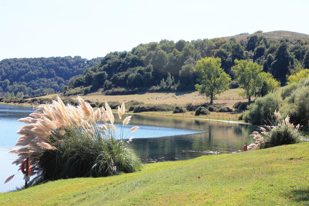 Villa Il Castoro Di Martignano Anguillara Sabazia Exterior foto