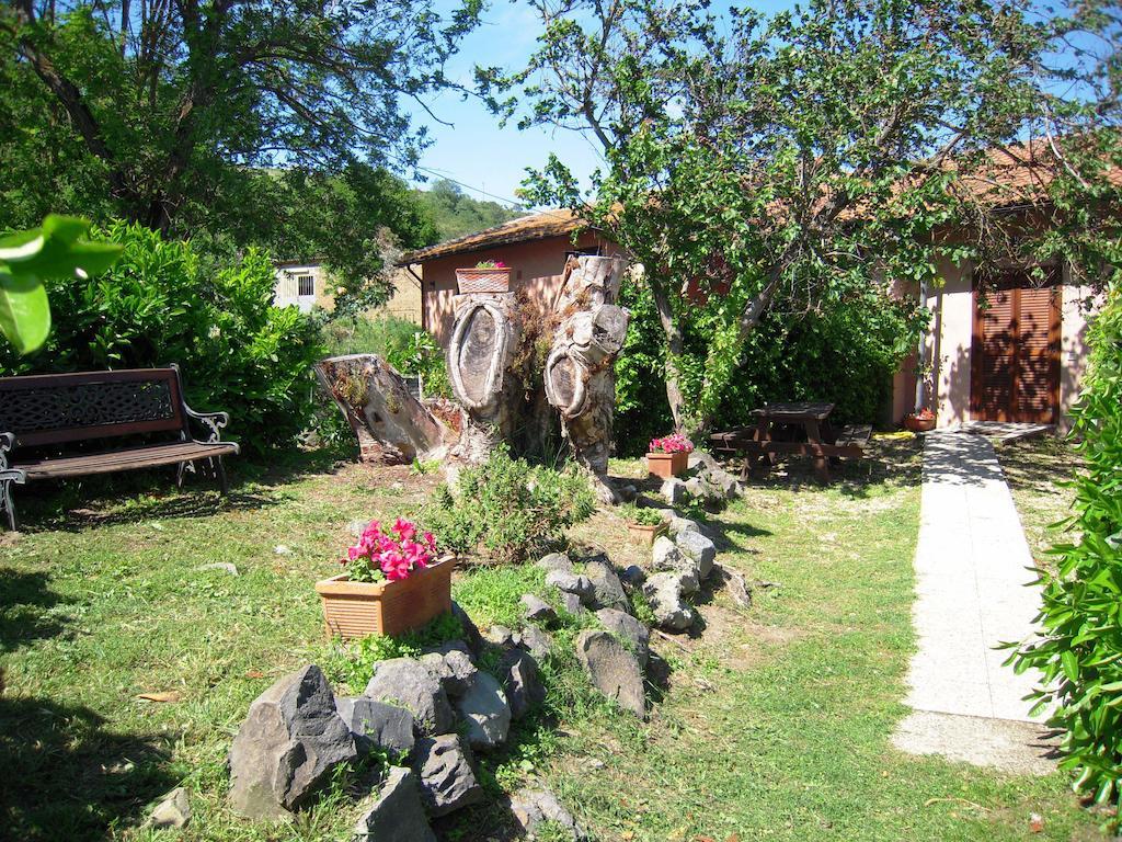 Villa Il Castoro Di Martignano Anguillara Sabazia Exterior foto