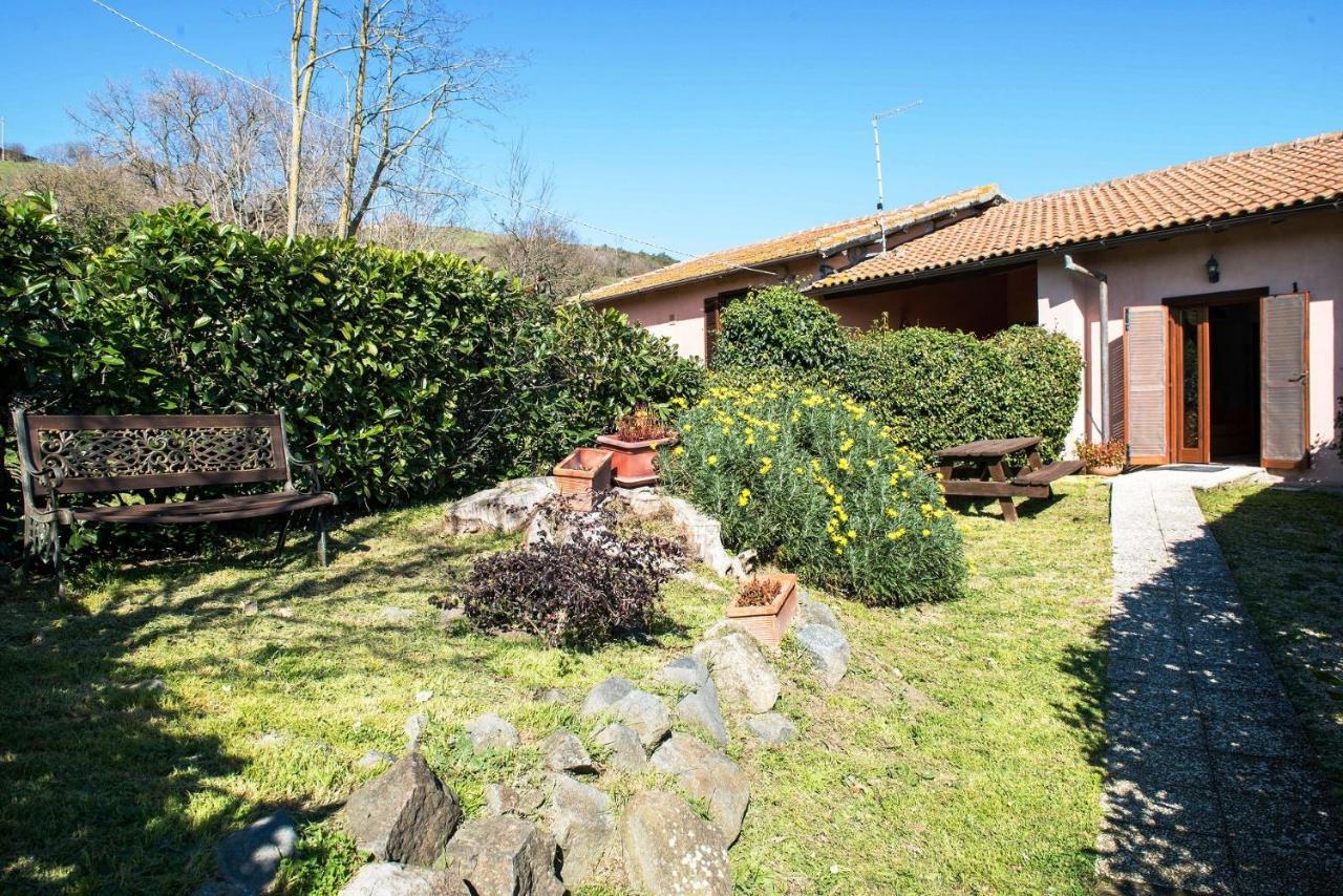 Villa Il Castoro Di Martignano Anguillara Sabazia Exterior foto